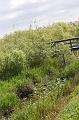 565. anhinga trail